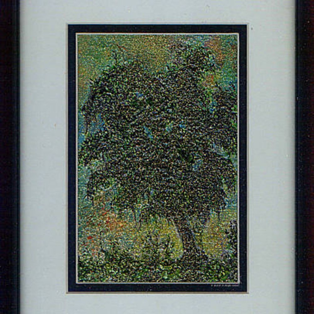 "Lonely Old Tree"